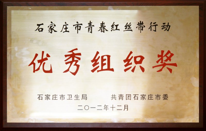 石家庄市青春红丝带行动