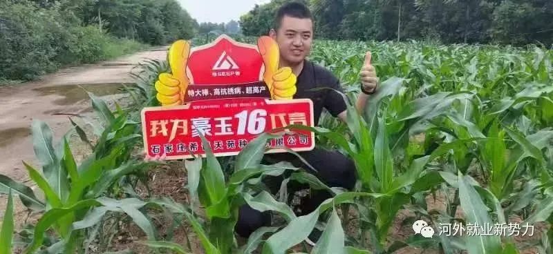 河北外国语学院校友孟鹏荣获2022年“全国高校毕业生基层就业卓越奖”