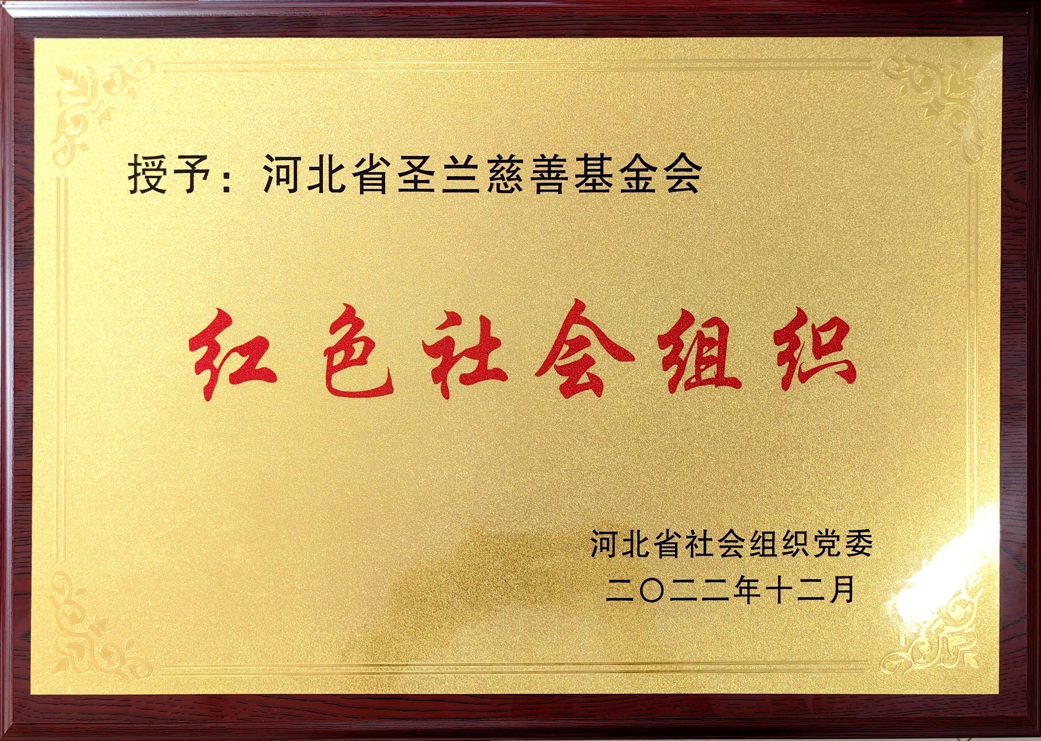 红色社会组织